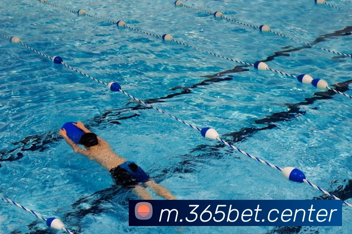 bet365中国官网登录入口平台生态图